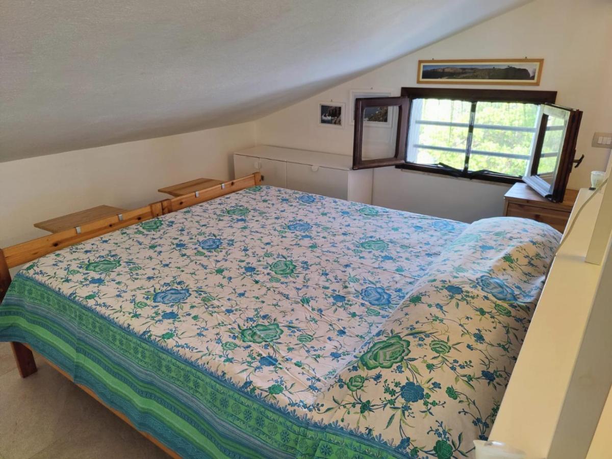 Ulivo Apartment กวาร์ตู ซานเตเลนา ภายนอก รูปภาพ